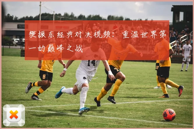 樊振东经典对决视频:重温世界第一的巅峰之战
