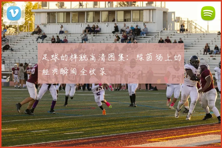 足球的样貌高清图集：绿茵场上的经典瞬间全收录