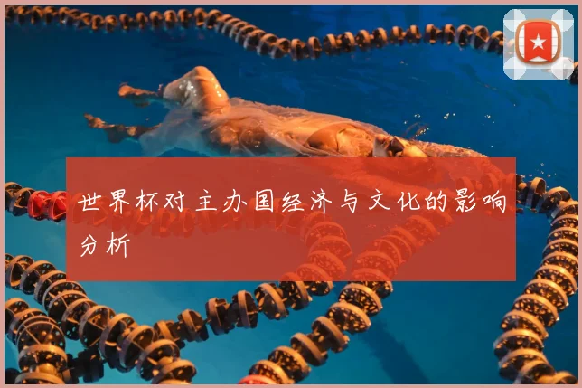 世界杯对主办国经济与文化的影响分析