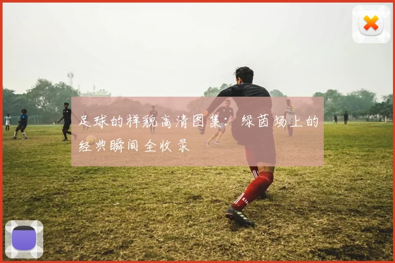 足球的样貌高清图集：绿茵场上的经典瞬间全收录