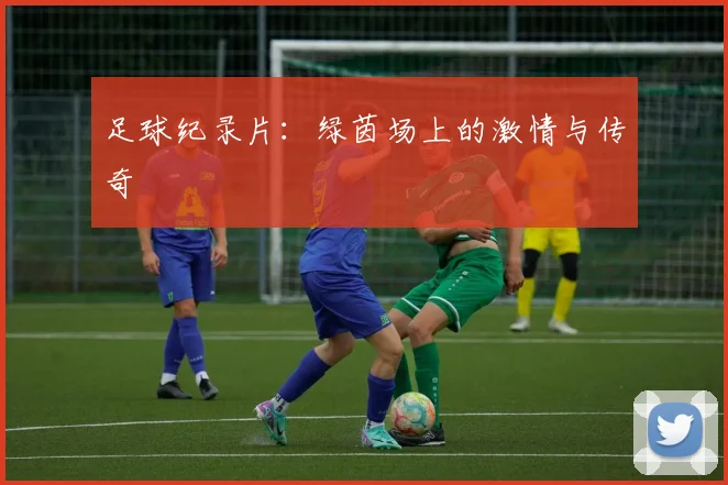 足球纪录片：绿茵场上的激情与传奇